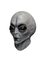 Area 51 Gray Overhead Mask