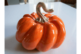 Pumpkin Decoration 1