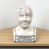 Temerity Jones Phrenology Porcelain Bust 1
