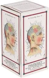 Temerity Jones Phrenology Porcelain Bust 3