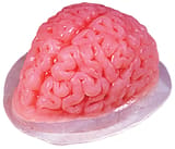 Novelty Brain Jelly Mould 2
