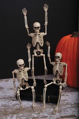 35cm Poseable Halloween Skeleton