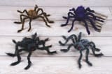 76cm Hairy Poseable Halloween Spider