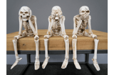 Set of 3 'See No Evil' Skeleton Figurines 1