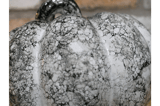 Decorative Stone-Effect Pumpkin 2