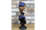 Victorian Skeleton Lady Bust 3
