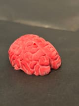 Brain-Shaped Scented Wax Melt 2