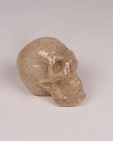 Decorative Resin Skull Ornament, Cream and Brown Stone Effect, Gothic Decor 2