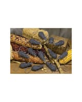Creepy Creatures Halloween Assortment Spiders Mice Bats 4