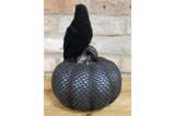 Black Crow on Scale-Patterned Pumpkin Ornament 2