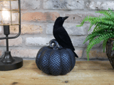 Black Crow on Scale-Patterned Pumpkin Ornament 3