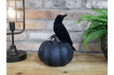 Black Crow on Scale-Patterned Pumpkin Ornament 4