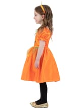 Pumpkin Dress Costume in Orange 3