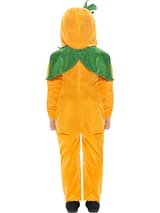 Pumpkin Toddler Costume 4