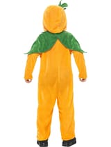 Pumpkin Toddler Costume 5