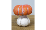 Orange and White Plastic Pumpkin Halloween Decor 4