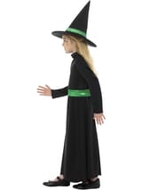 Wicked Witch Halloween Costume 3
