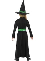 Wicked Witch Halloween Costume 4