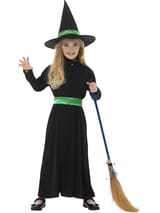 Wicked Witch Halloween Costume 2