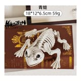 Spooky Teddy Bear Skeleton Halloween Decoration