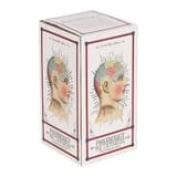 Temerity Jones Phrenology Porcelain Bust