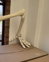 Skeleton raised elbow and hand detail
