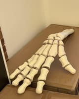 Separate skeleton hand and forearm detail