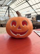 Orange smiling pumpkin with rounded eyes, one lower tooth and a curved brown stem