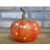 Light Up Pumpkins (each) 7