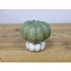 Brand New Decorative Small Pumpkin 3