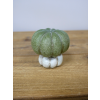 Brand New Decorative Small Pumpkin 4
