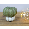 Brand New Decorative Small Pumpkin 6