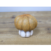 Small Pumpkin Decorative Ceramic Autumn Ornament 4