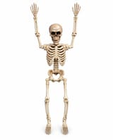 Single 35cm bone-coloured poseable Halloween skeleton with both arms raised, shown on white