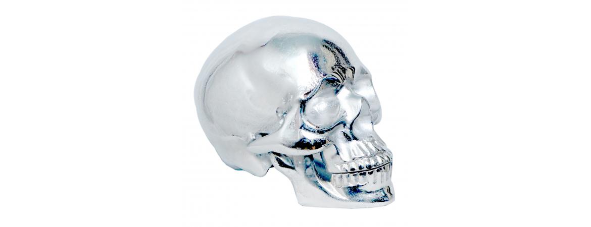 Giant Silver Skull Ornament – 50cm Wide — supplier photograph