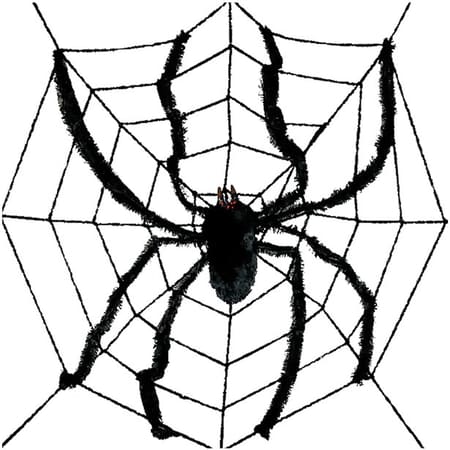 Large Spider Web &amp; Spider