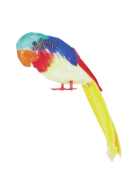 Parrot Tweets (30cm)