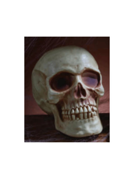 7" Moulded Skull
