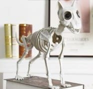 Creepy Cat Skeleton Halloween Décor