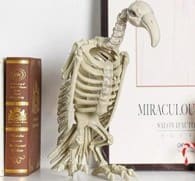 Spooky Vulture Skeleton Halloween Horror Decoration