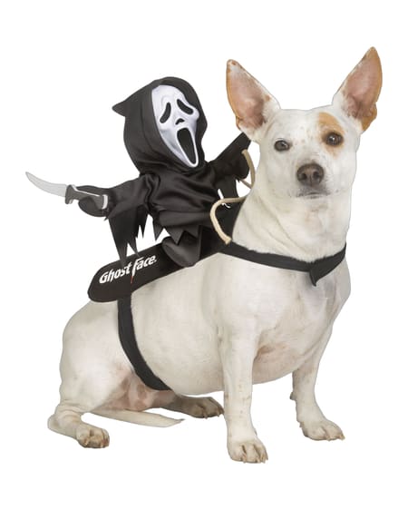 Ghost Face® Rider Pet Costume