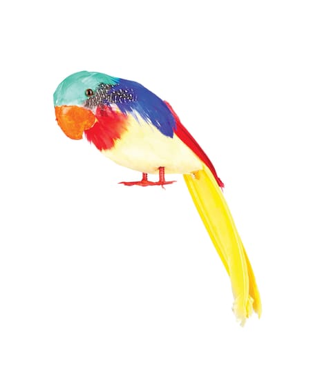 Parrot Tweets (30cm)