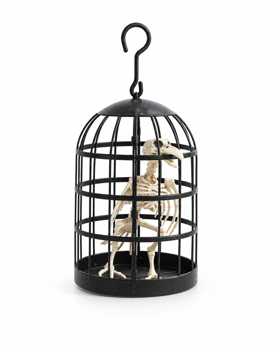 Black Halloween bird cage with ivory bird skeleton on white background