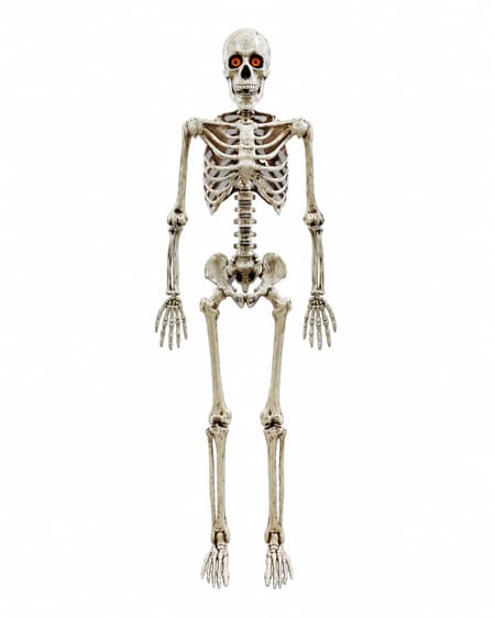 Poseable ivory-coloured Halloween skeleton with illuminated eyes on a white background