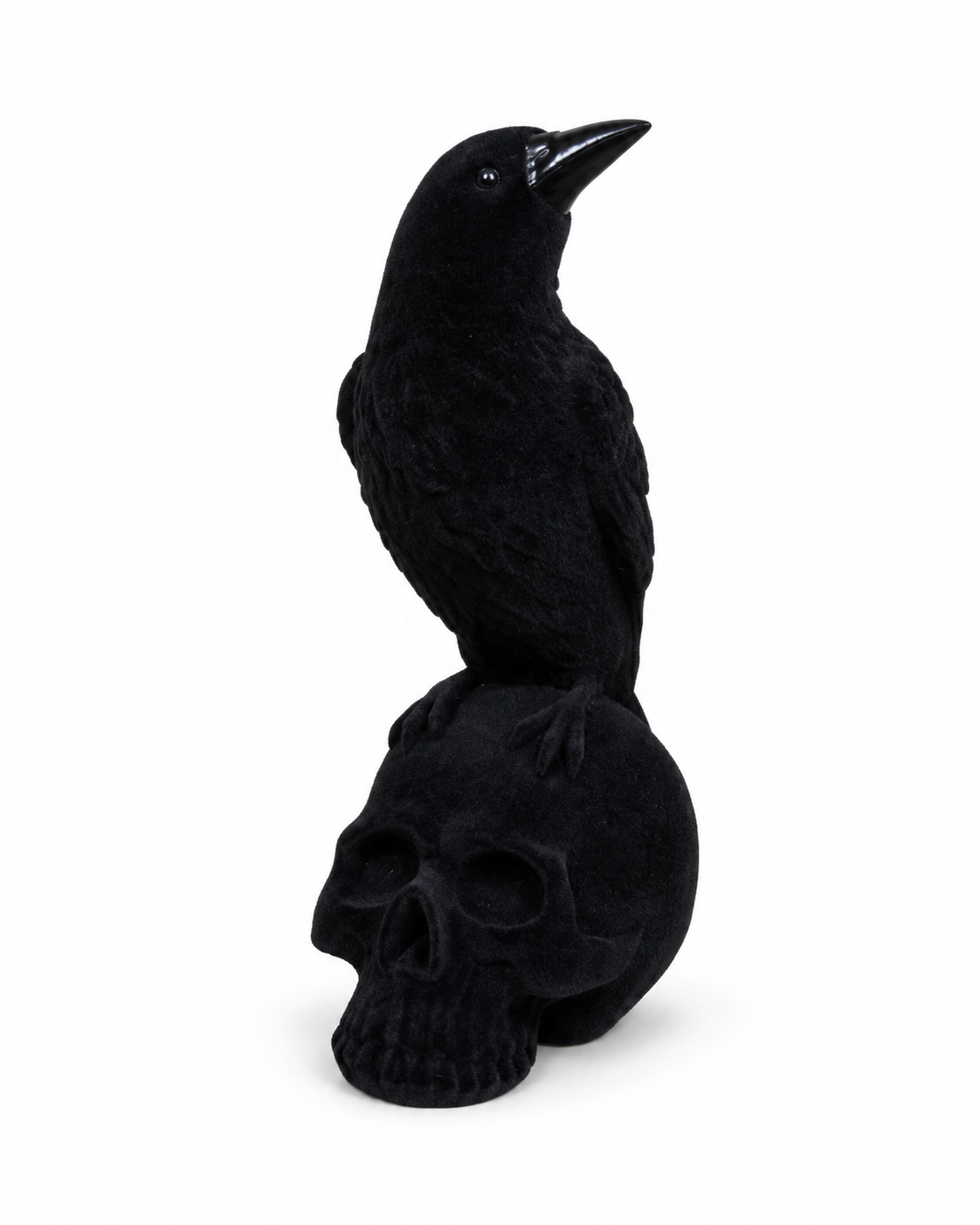 Black flocked crow perched on a black skull, with velvet-like texture and glossy beak