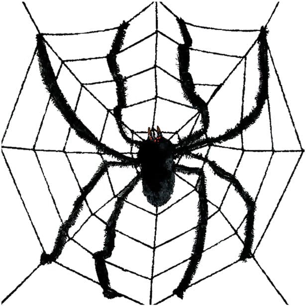 Large Spider Web & Spider