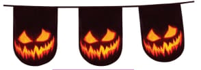 Creepy Pumpkin Double Sided Bunting (6m)