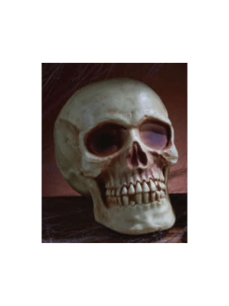 7" Moulded Skull