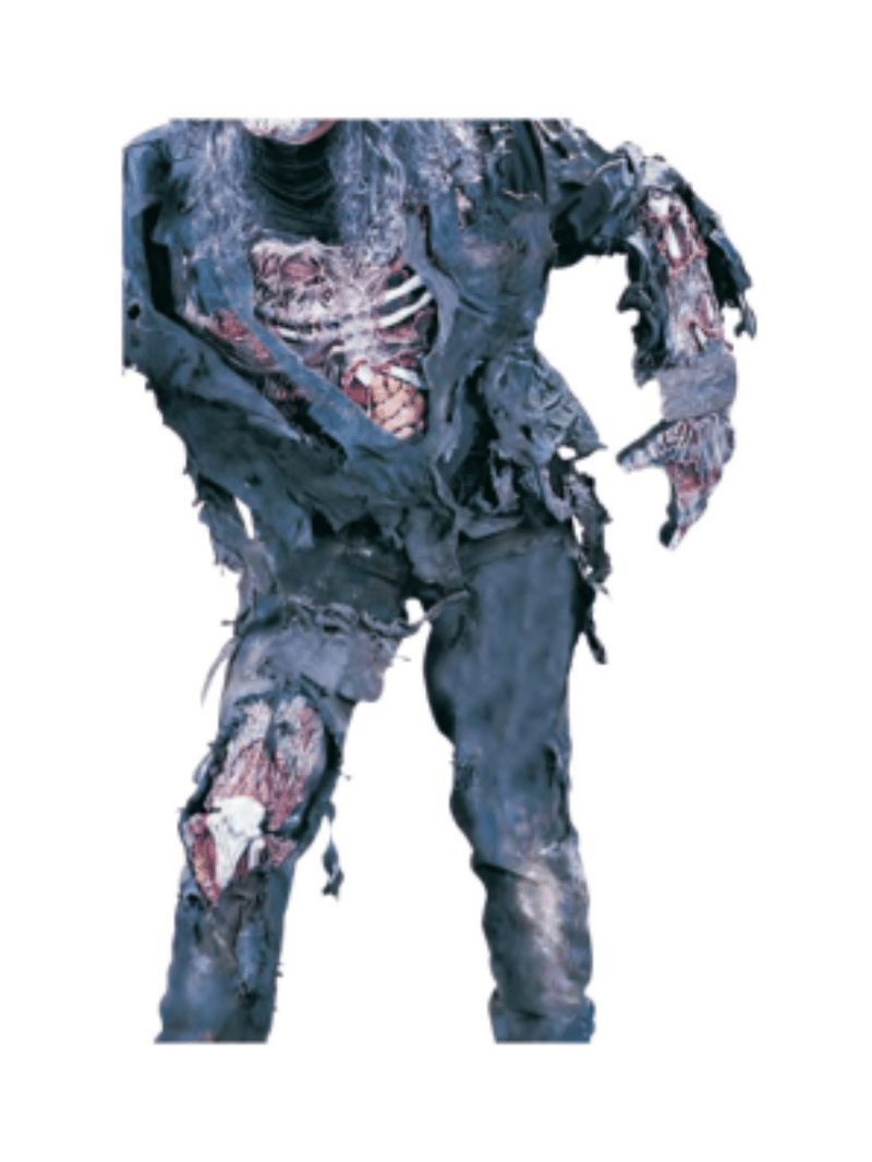 Zombie Parts Set