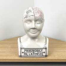 Temerity Jones Phrenology Porcelain Bust